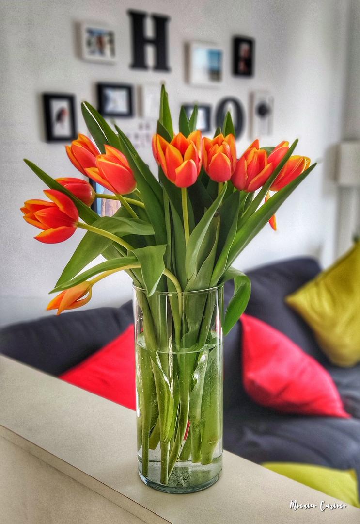 Fiori